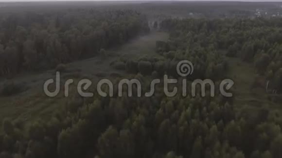 飞过森林空中观景视频的预览图