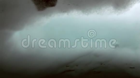 北极地区的潜水视频的预览图