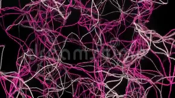 4K神经元和突触活动视频的预览图
