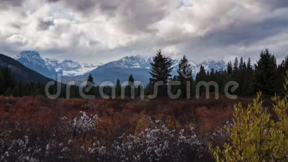 加拿大落基的阴天视频的预览图