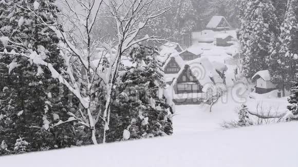 冬季景观的村在东京日本视频的预览图