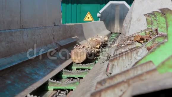 木材工业原木分拣机视频的预览图