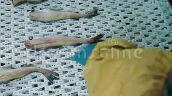 鱼类和海鲜加工厂视频的预览图