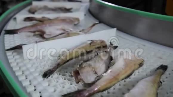鱼类和海鲜加工厂视频的预览图