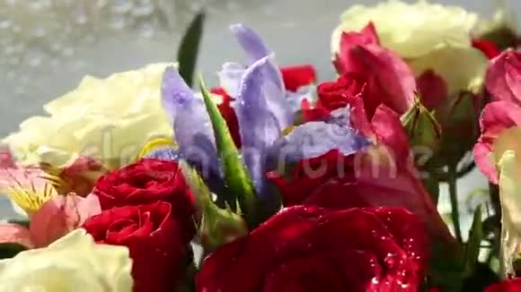 美丽的花束玫瑰虹膜和阿尔斯特洛美利亚旋转视频的预览图
