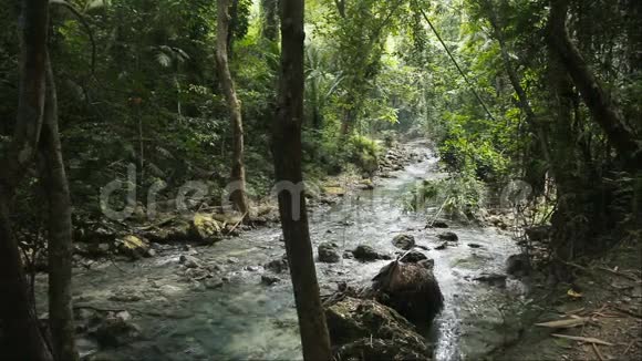 菲律宾宿务雨林中的河流视频的预览图