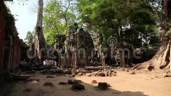 柬埔寨吴哥汤姆寺建筑群视频的预览图