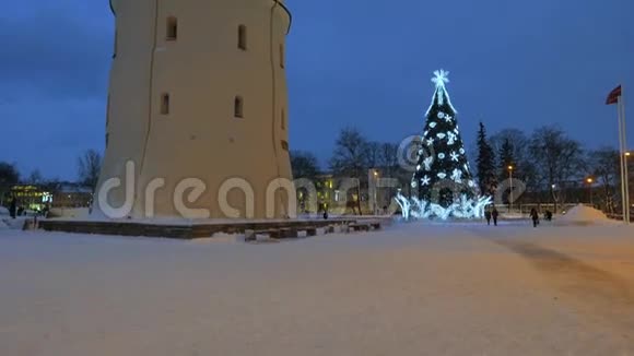 维尔纽斯大教堂广场上的圣诞树视频的预览图