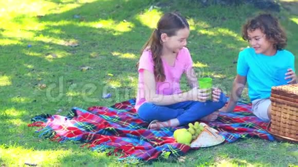快乐的孩子们在公园野餐视频的预览图