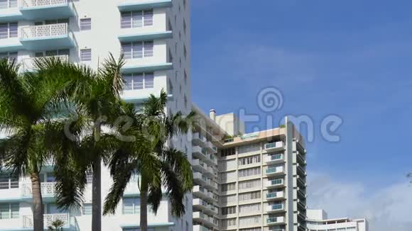 迈阿密大楼和棕榈树视频的预览图