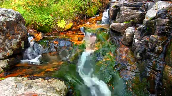 国家森林瀑布蒙大拿视频的预览图