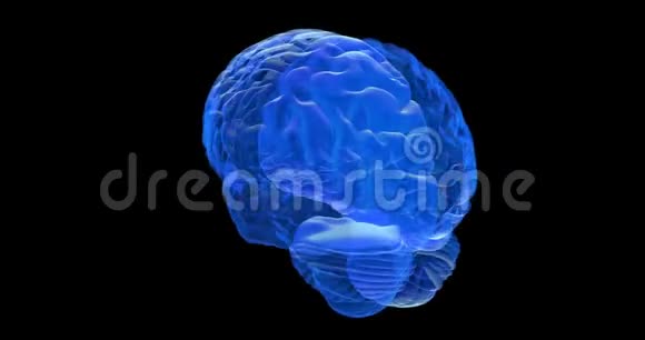 人脑3D渲染视频的预览图