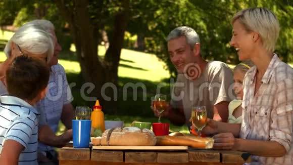 快乐的一家人在公园吃饭视频的预览图
