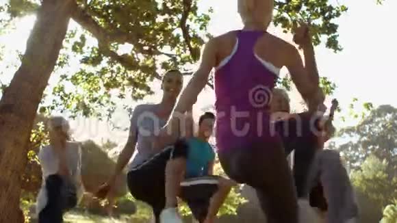 健身小组在公园锻炼视频的预览图