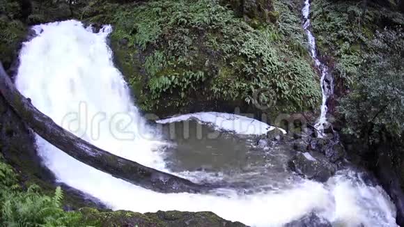 北加利福尼亚的瀑布视频的预览图