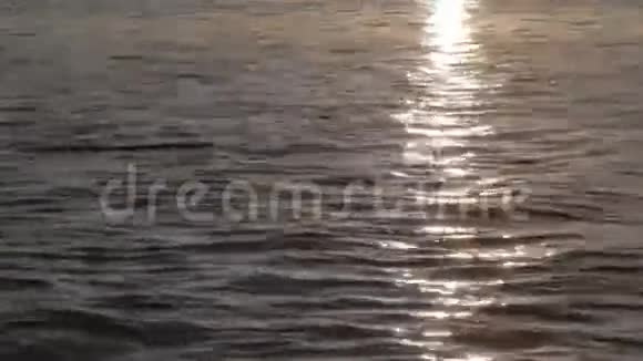 有太阳反射的水视频的预览图