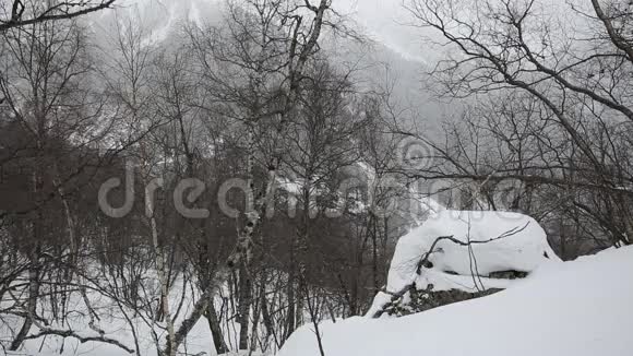 俄罗斯北奥塞梯共和国阿拉尼亚电影中高加索山脉冬季暴风雪视频的预览图