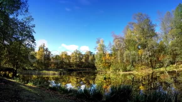 秋天的树有明亮的叶子倒映在湖中视频的预览图
