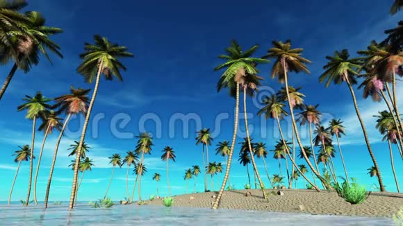 岛屿视频的预览图