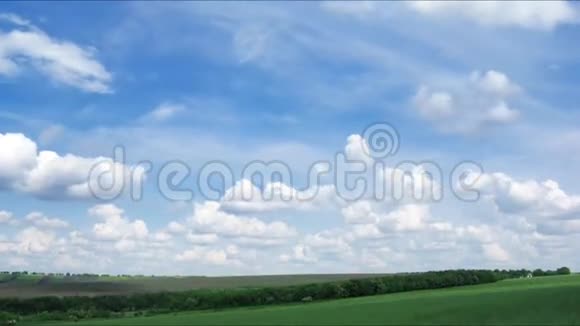 绿色的田野和美丽的蓝天视频的预览图