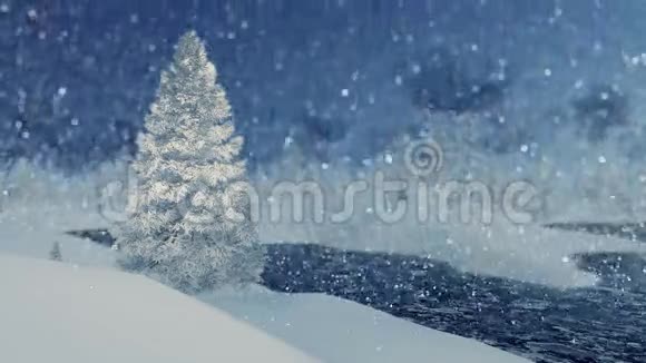 雪夜的雪杉和冰冻的河流视频的预览图