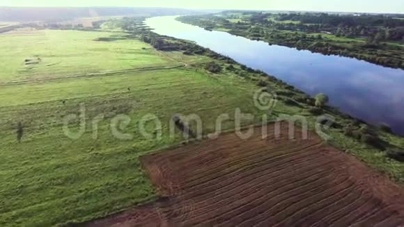 绿色草地河流的空中地貌视频的预览图