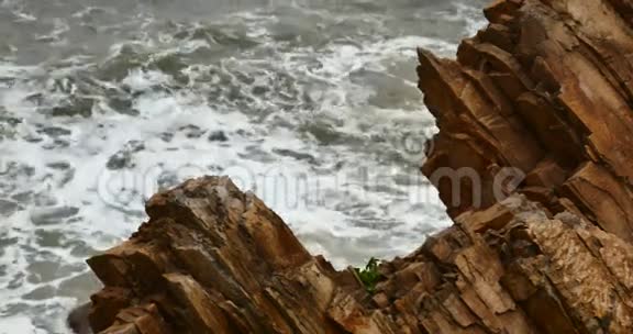 闪闪发光的海洋海水波浪表面和海岸岩石礁海岸浪涌海岸视频的预览图