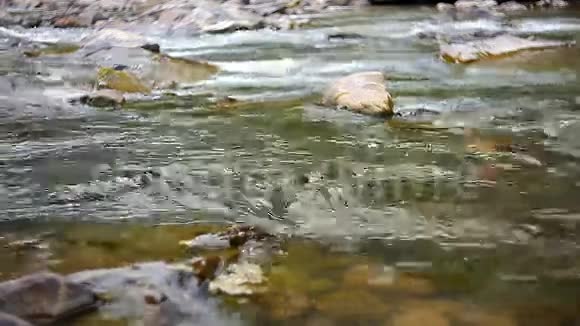 溪清山河视频的预览图
