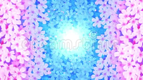 樱花花日本樱花盛开美丽的樱花树景观CG循环动画视频的预览图