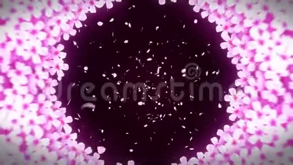 樱花花日本樱花盛开美丽的樱花树景观CG循环动画视频的预览图