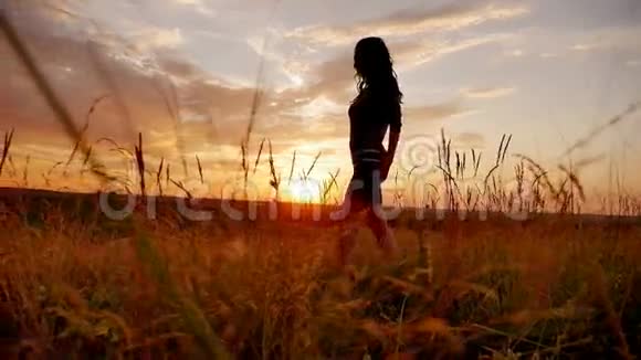 女孩在野外日落自然阳光假期慢动作视频视频的预览图