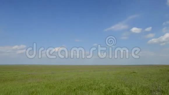 草地上有绿草和蓝天视频的预览图