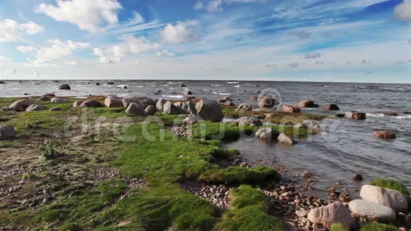 俄罗斯芬兰湾秋季海岸视频的预览图