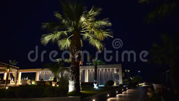 豪华酒店夜间照明棕榈树视频的预览图