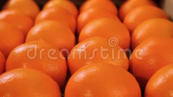 市场上有漂亮的成熟橘子视频的预览图