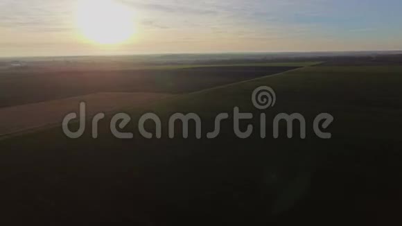 秋天小麦的空中视野视频的预览图