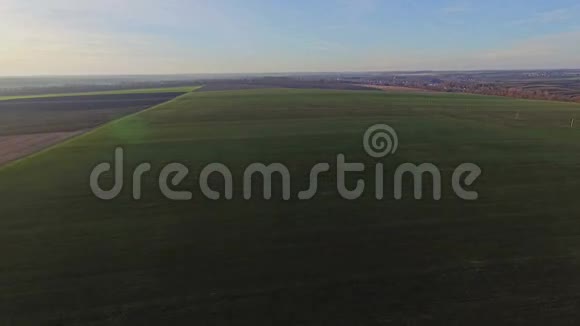 秋天小麦的空中视野视频的预览图