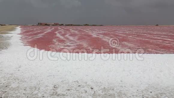 玫瑰加勒比海盐湖视频的预览图