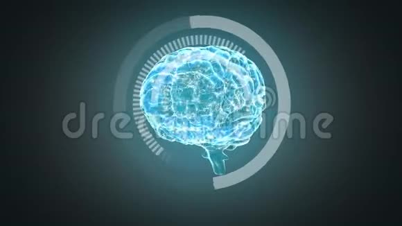 3D人类大脑的插图视频的预览图