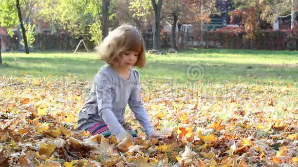 秋天落叶的小女孩视频的预览图