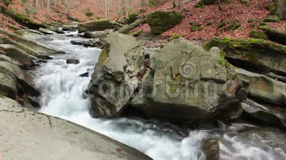 有石头和苔藓的森林河视频的预览图