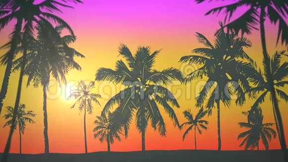 棕榈树和日落的热带景观全景夏季背景视频的预览图