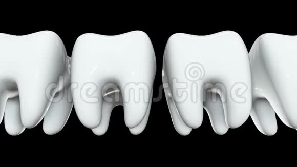 红牙一排的白牙3D视频的预览图