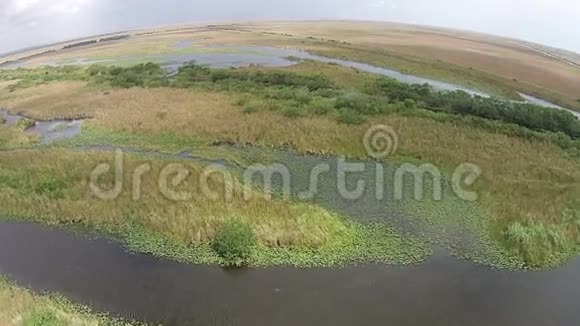 佛罗里达大沼泽地的鸟瞰图视频的预览图