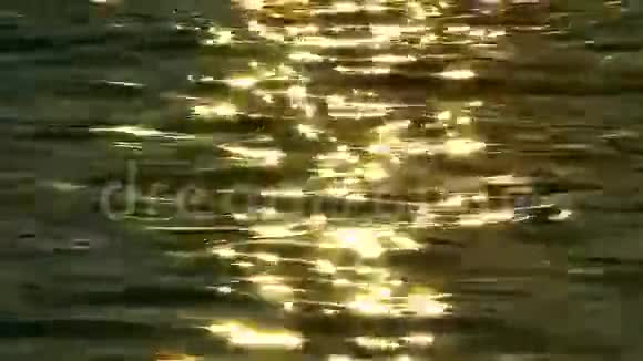 海水的日光反射视频的预览图