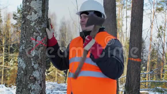 冬天在树附近的森林里伐木工人视频的预览图