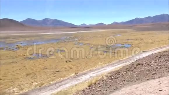 智利阿塔卡马沙漠的山脉和泻湖视频的预览图