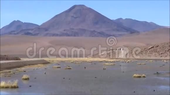智利阿塔卡马沙漠的山脉和泻湖视频的预览图