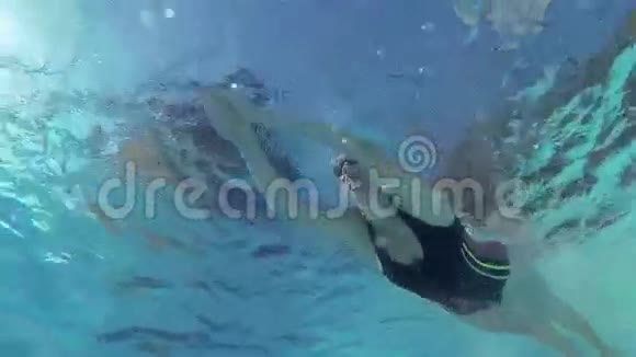 女游泳运动员在游泳池游泳视频的预览图