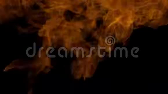 火焰点燃和燃烧缓慢的运动一排真正的火焰在黑色背景上点燃真正的火透明背脊视频的预览图